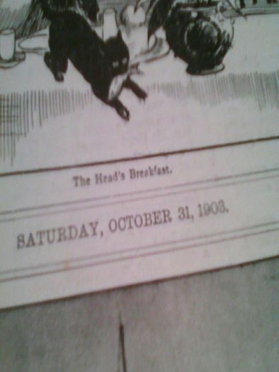 Book: The Boy's Own Annual