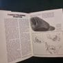 Pebble polishing and pebble jewellery .Hardcover  .1973 Image 10