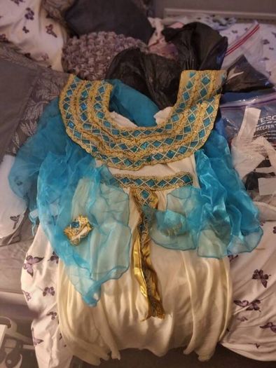 Egyptian / Cleopatea Costume