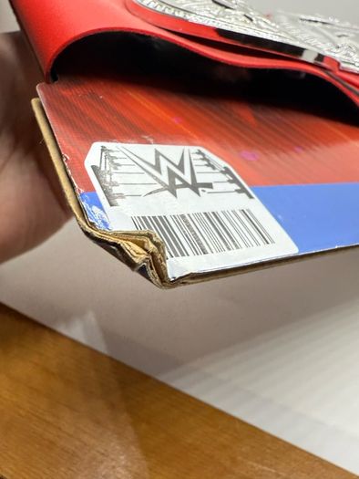 wwe Kids Raw tag team championship title