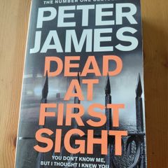 Dead At first sight.  Peter James