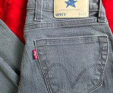 RARE European Levis - Carefully Nurtured Blue