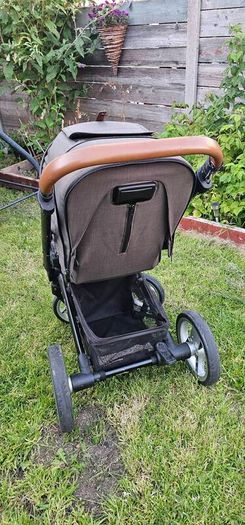 buggy