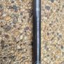 Fishing rod Shimano Alivio Image 2