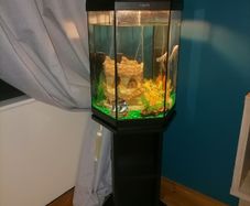 Fish tank