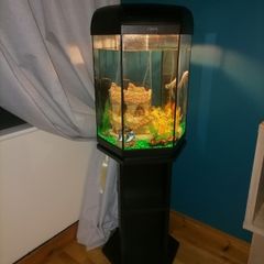 Fish tank