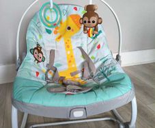 Baby Rocker