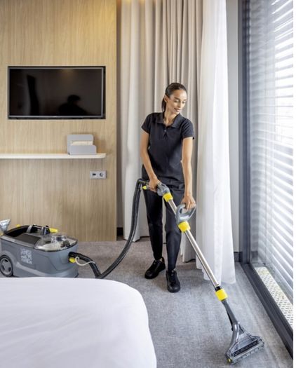 carpet/upholstery cleaner