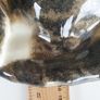 Mike Hinton porcelain sleeping cat signed Image 9