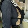 Ergo baby carrier with hood for baby &detachable baby detachable pouch Image 5