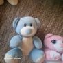 Selection of teddys. Image 7