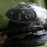 Astone Baron GTR EXCLUSIVE VERSAILLES helmet - Motorbike (never used) Image 5