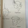 The ABC of Millinery - Vintage Hat Making Book - Fashion Book Image 6