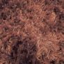 Red shaggy rug Image 3