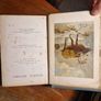 Library of 18th, 19th & early 20th c. Books, Beautiful bright bindings. Offers welcome! Image 5