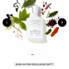 CREED Silver Mountain Water 100ml niche parfum