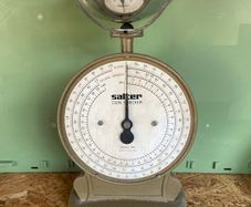 Old Salter Coin Checker Model 353