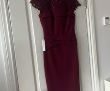 Lipsy Berry Dress