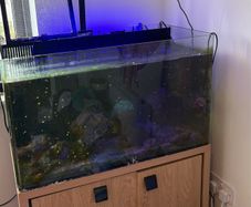 AquaOne 100