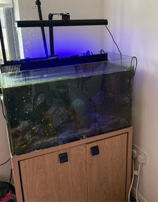 AquaOne 100