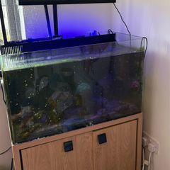 AquaOne 100