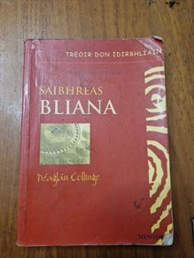 # irish language books