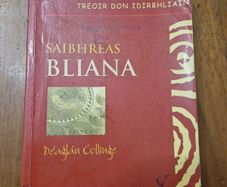 # irish language books