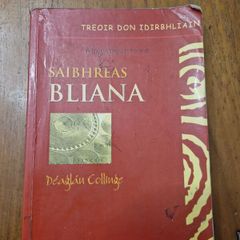 # irish language books