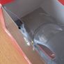 Hotwheels Ferrari 458 Italia black 1/18 Image 3