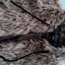 Fur coats hit sale Image 10
