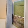 North Bull Island, Dublin Bay: A Modern Coastal History Edited by D. W. Jeffery (HQ602) Image 5