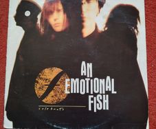 Vinyl An Emotional Fish Celebrate