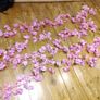 cherry blossom flowers vine Image 3