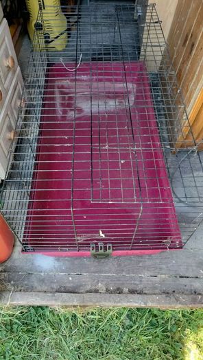 Cage for Rabbit or Guinea Pig