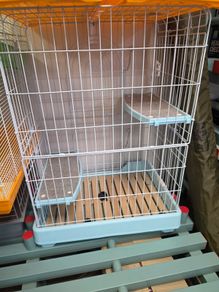 cat cage