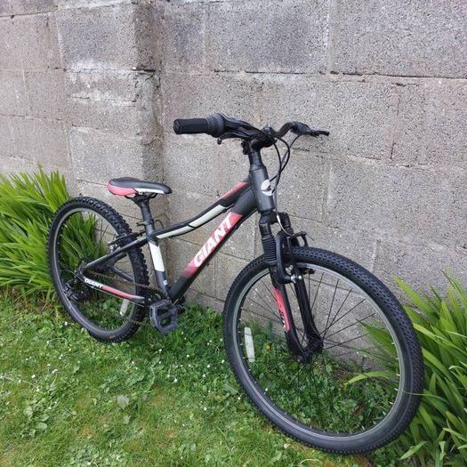 Giant XTC JR 24" wheel kids bike - kids aged 7-12 years old - Mountain bike - Fully serviced