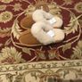 Ladies Sheepskin Slippers, size EU-40, UK-6.5 Image 2