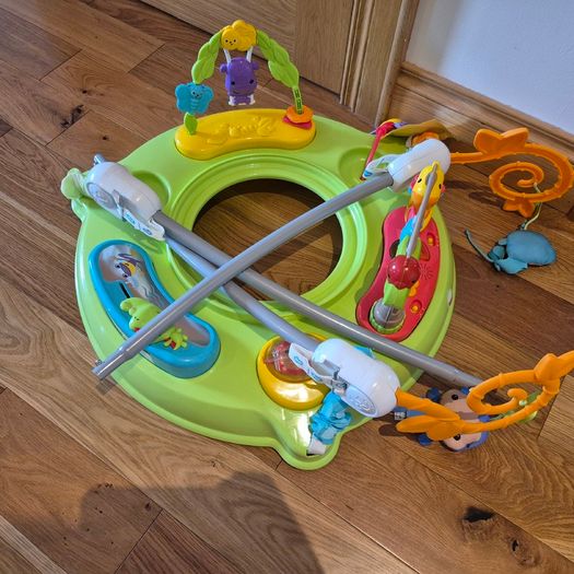 Fisher Price Roarin Rainforest Jumperoo