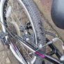Girl's bike Image 4
