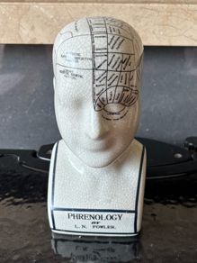 Ceramic Medical Model