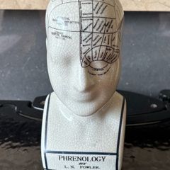 Ceramic Medical Model