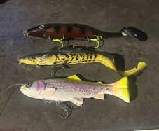 Pike lures