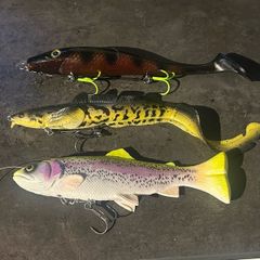 Pike lures