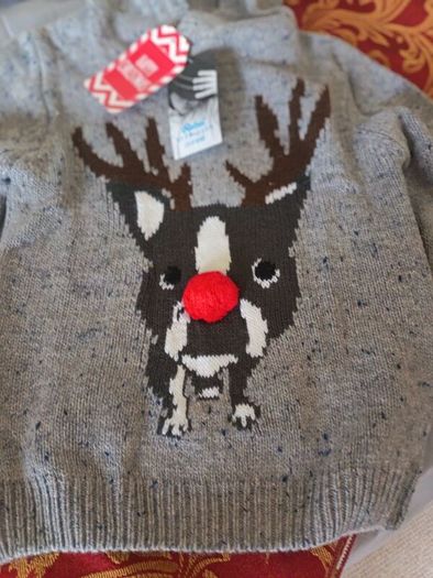 Chistmas hoodie jumper