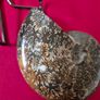 Fossilized prehistoric ammonite ,With display stand Image 5