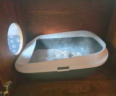 Cat Litter Tray