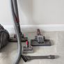 Dyson Big Ball Animal Image 2