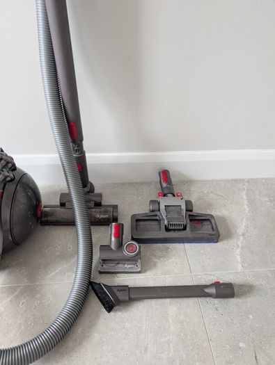 Dyson Big Ball Animal