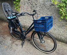 Family Bike with Child Carrier