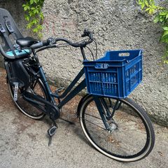 Family Bike with Child Carrier